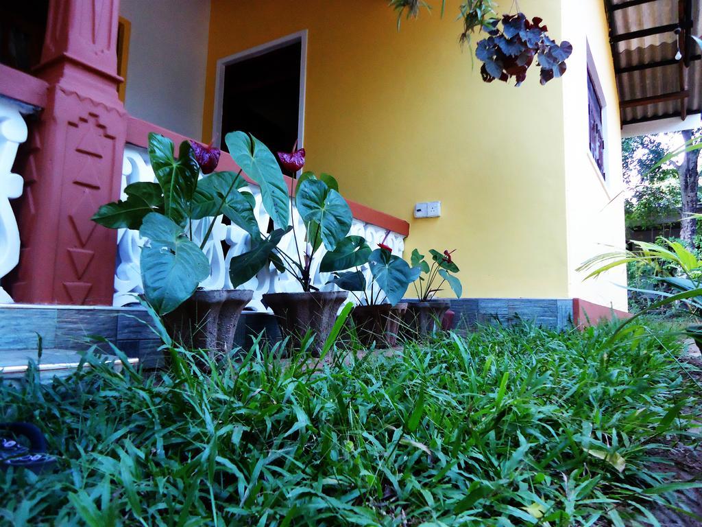 Sigiri Sithru Home Stay Sigiriya Exteriér fotografie